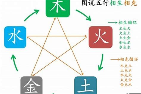 維五行|维字五行属什么